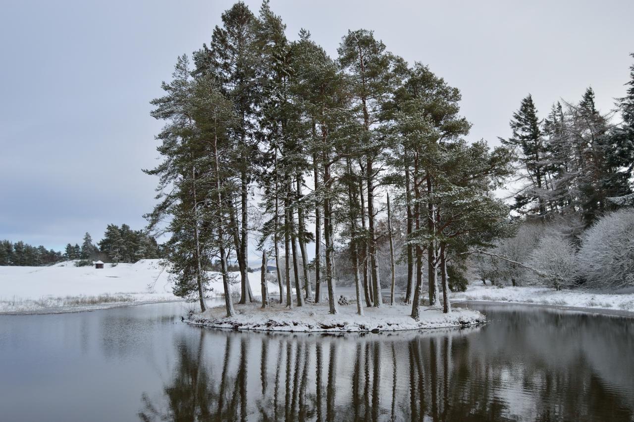 The Pines - Luxury 3-Bed Apartment Near Golf & Spa, Gleneagles, Auchterarder Eksteriør bilde